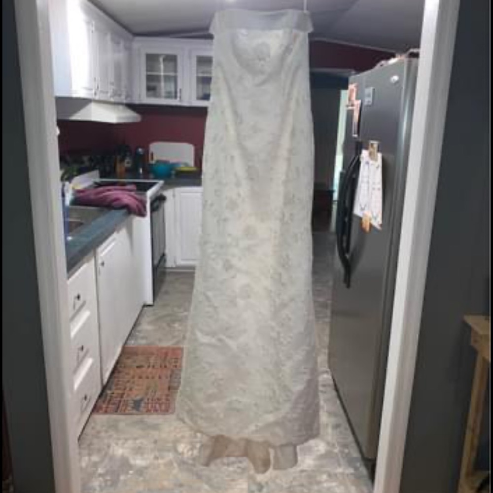 Wedding dress and vale